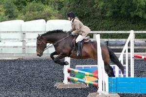 Class 3 -  Fences not above 2'3